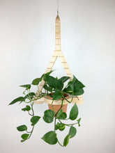 Load image into Gallery viewer, Zakim Bridge Boston Hanging Plant Holder