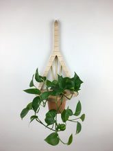 Load image into Gallery viewer, Zakim Bridge Boston Wall Plant Holder
